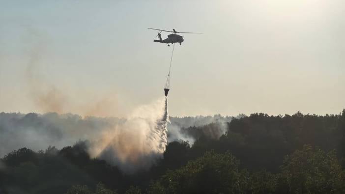 Kocaeli'de ormanlık alanda çıkan yangın kontrol altına alındı